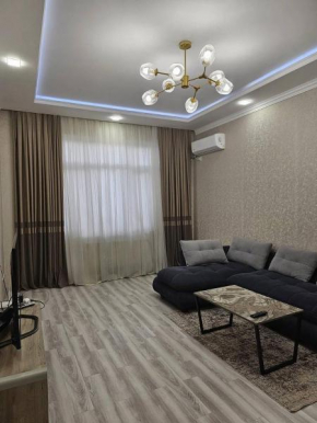 Parkentskaya 170 Tashkent apartment by RNB estate